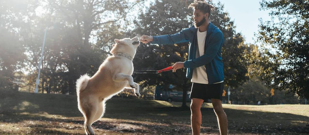 Sierra Canine Expands Its Renowned Service Dog Training Programs in California